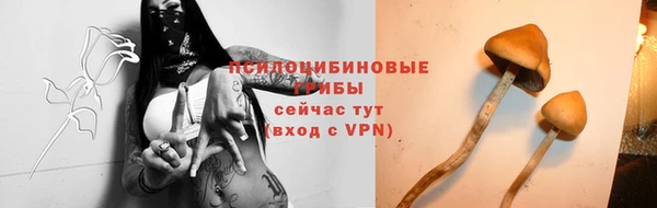 кокаин колумбия Белокуриха