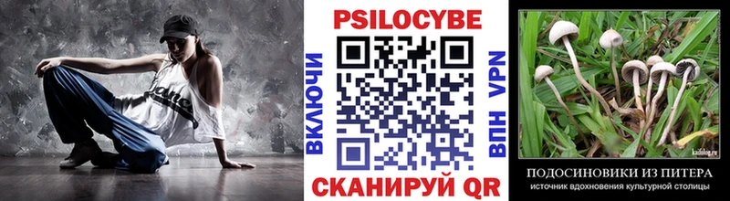 Купить  Котово  Галлюциногенные грибы Cubensis 